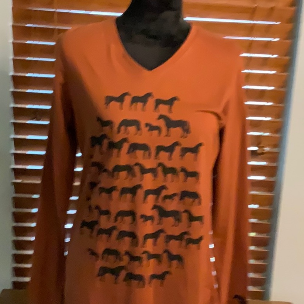 Irideon riding wear. Size L. Rusty brown color.